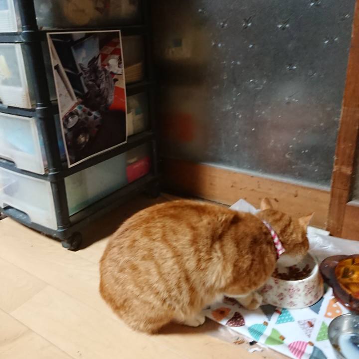 5828742d b188 49eb 9646 75c86b1487f0 1604519289217