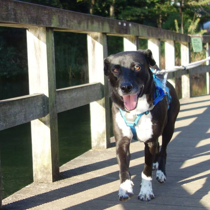 5828ad62 f73b 413a b805 ce3240ace0c4 1636159253703