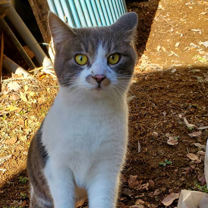 5828c3a2 05c9 44e1 ae16 facc23040a70 1683620088834