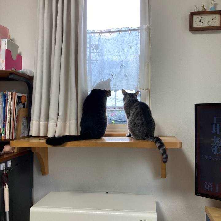 5828d843 d613 4e14 a508 3ec9d93ac6c3 1742243586565