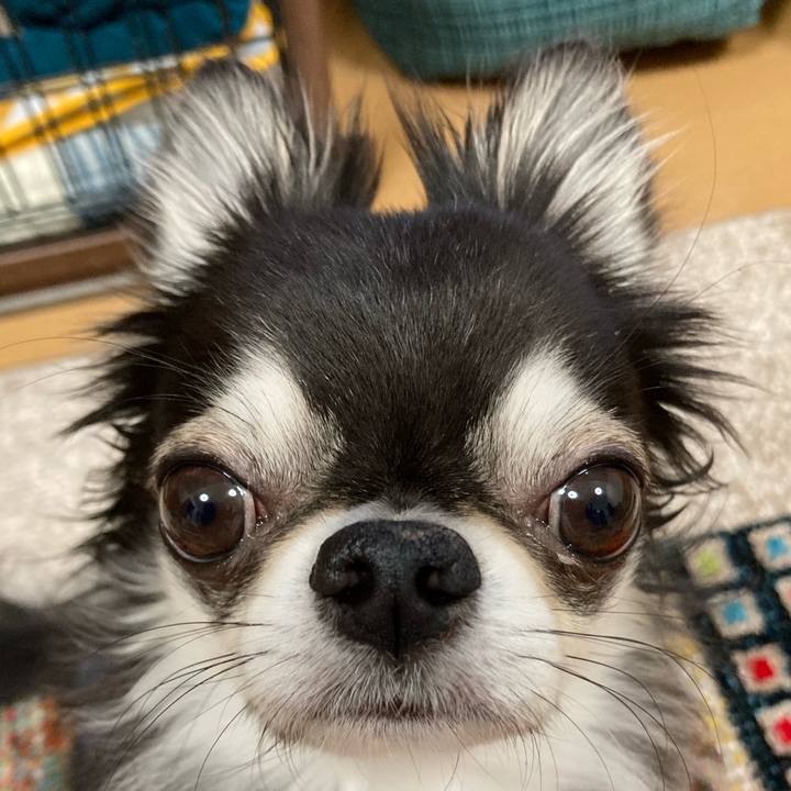 58290456 d7b9 4a1a 8aeb 8fb8a8fb0322 1681514574533