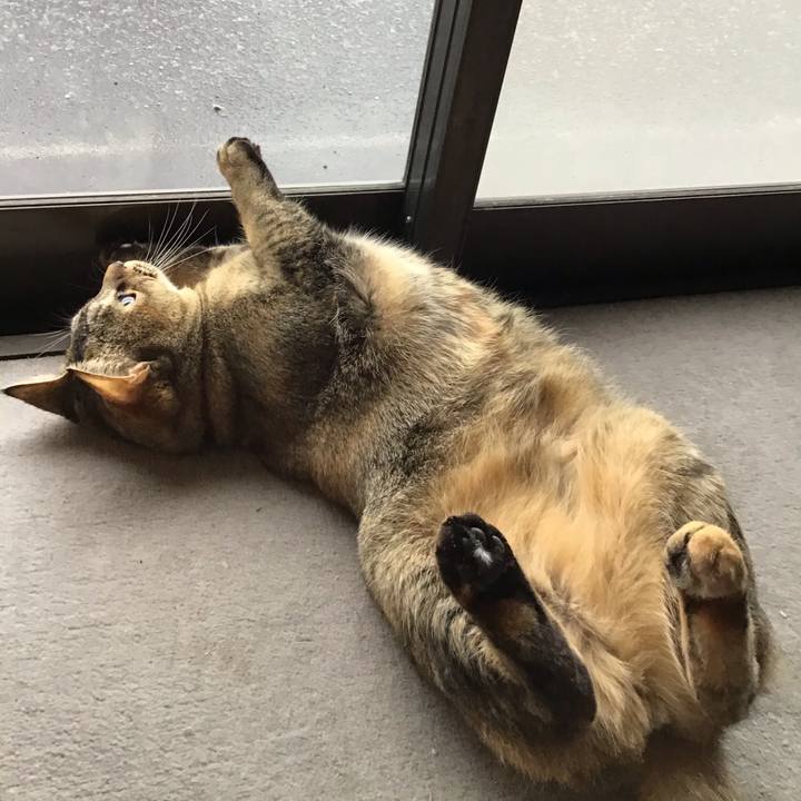 5829464c 77ce 4e5d 80b6 387dd60e4c48 1585447397406