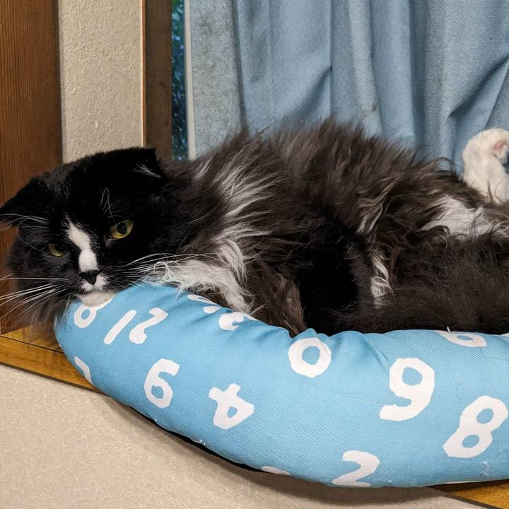 58295fac 5fc7 42a7 ac0a 72d965577e20 1693048299439