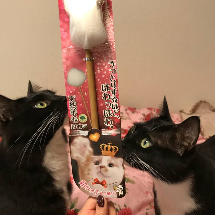 58298c9d c8d1 436c b7e3 f2e0e6ed0885 1514086754624