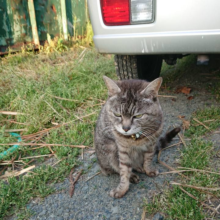 58298ef9 e966 4d2e 9258 43bccf7d0fdb 1558643981534