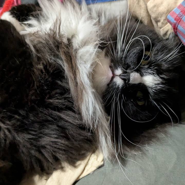 5829bee3 840d 4275 a8b9 a6787f56d276 1760320609872