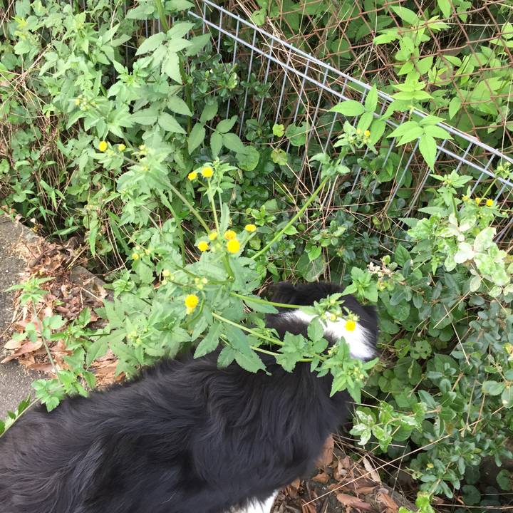 5829c787 a0b4 4c99 be05 6a1a1c302ce5 1570500208849