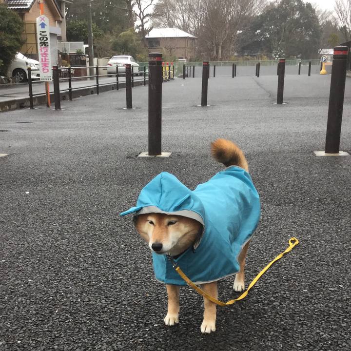 5829fffd 64e1 4021 93b0 d59cc96d81f9 1549682289686