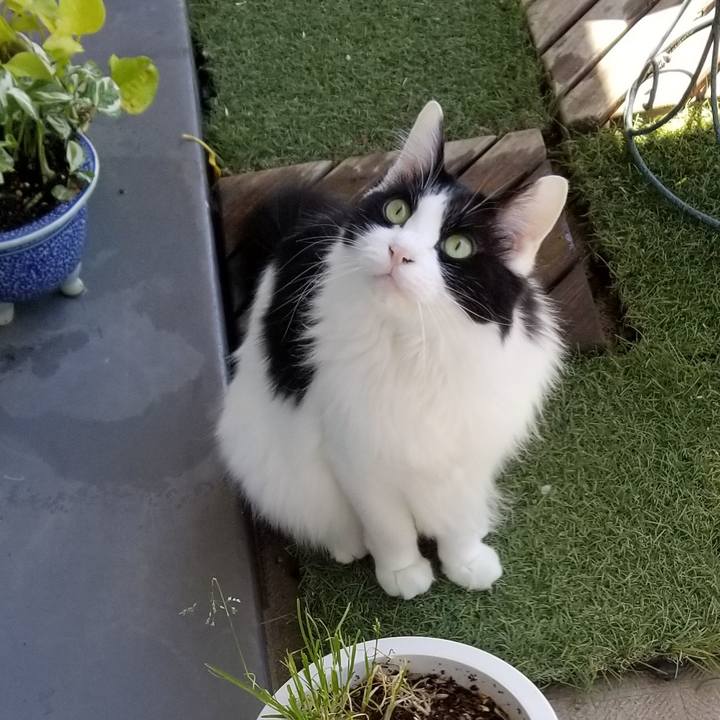 582a256d 76d9 44b9 9c59 fc68de2c8779 1557320773935