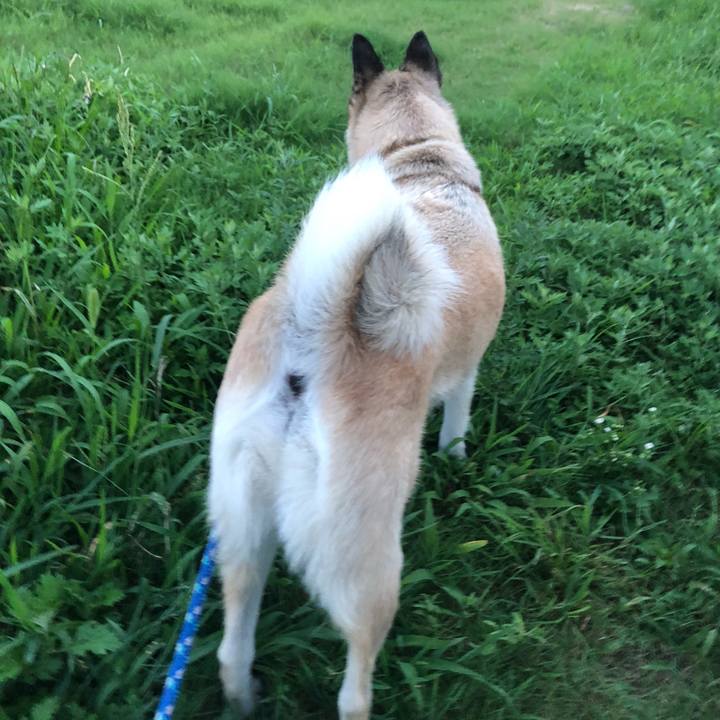 582a3343 f231 4f39 b049 ef65d622100a 1630326695129