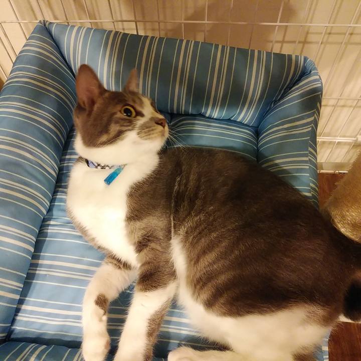 582a418d 091a 4341 9e48 46df5b9fb72e 1595811022770