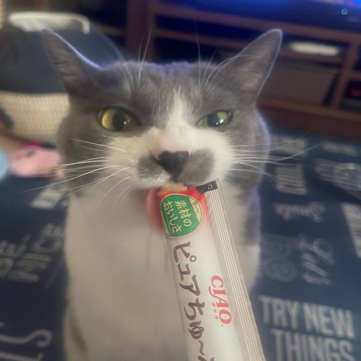 582a813d f872 4b6a abe3 300a7d19dd2c 1715755362207