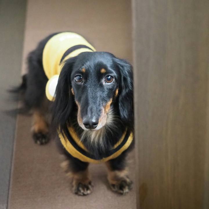 582a9d40 e356 4114 9dbf ec90580e12a6 1548659125582