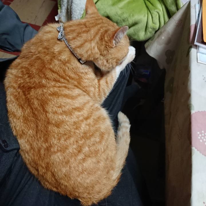 582a9efc 13ee 4f4f 942a 961b14040a3a 1587591681939