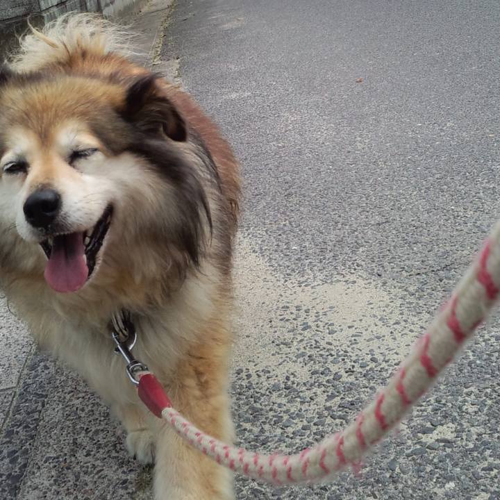 582aa111 7d8c 416c 9422 2d19cc1ead32 1616200059799