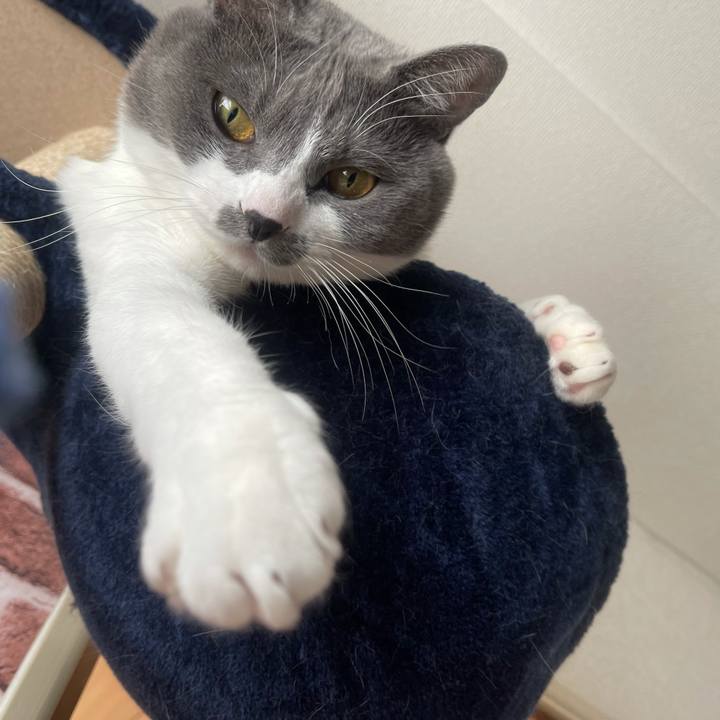 582ab679 0f49 419c 9142 ff216c9bdd35 1640653213535