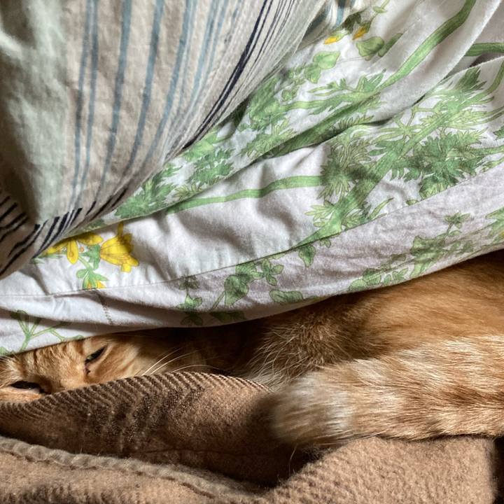 582abf0e 79d0 4292 91d0 aab4786a94c8 1735427033040