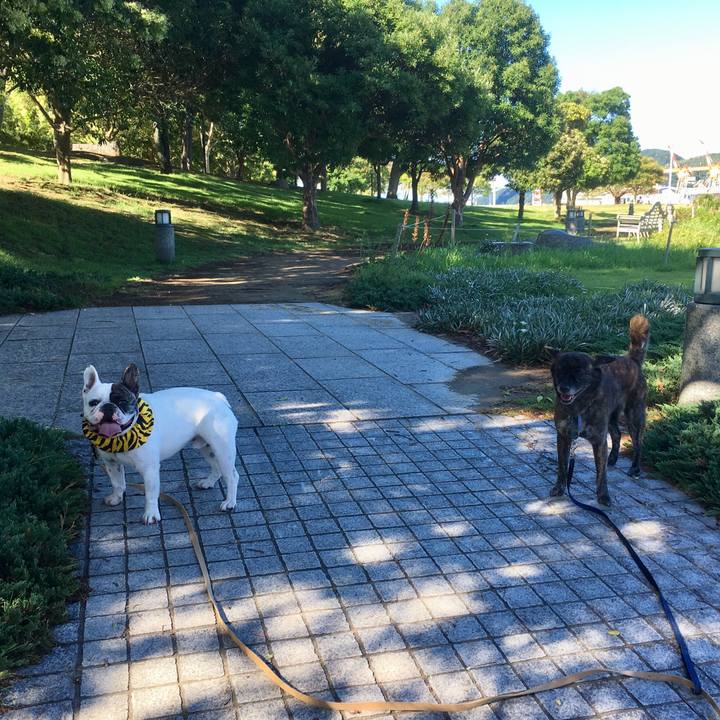 582adbe0 485c 4b5f a8b5 c11d9d7aa733 1533093792202