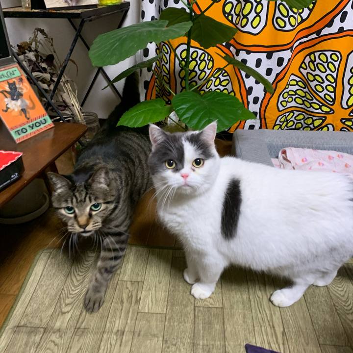 582b2ff4 90b3 4570 9f20 bbcb706ad56d 1644188674648