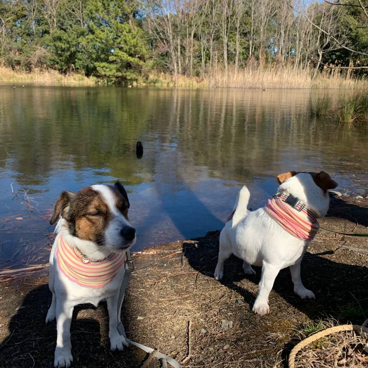 582b3e50 61ea 4724 8a35 7ffeac7b396a 1611988889304