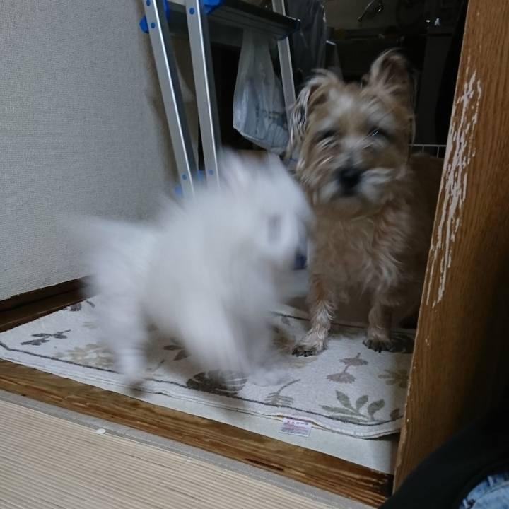 582b9a6b bf27 44c1 b0e1 2563a825049b 1546323053116