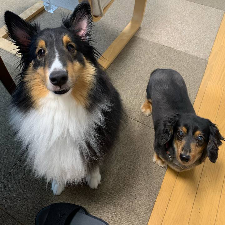 582b9e00 90c5 4854 9388 eec133cffece 1594677318102