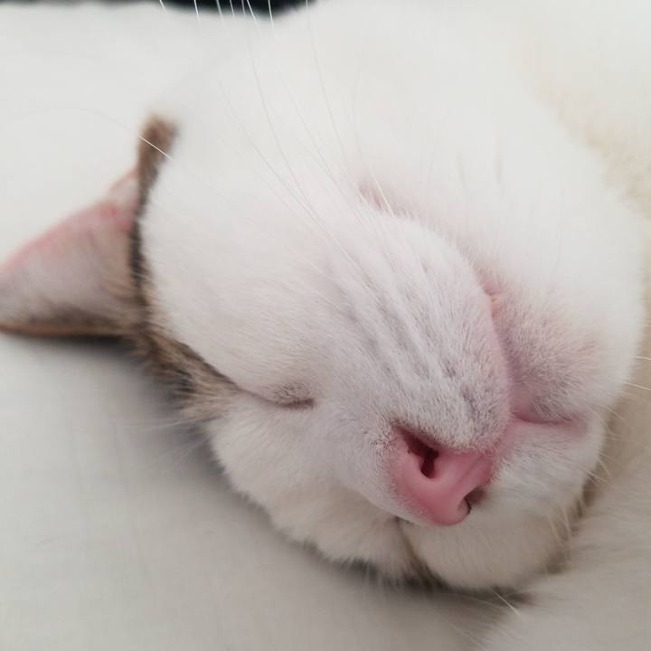 582badc8 5c01 42be b186 9fe75daa925c 1580513891170