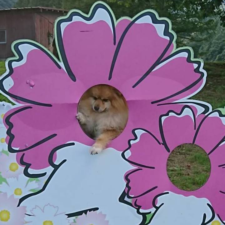 582bb90c 724f 439e b1cb 645086ca164f 1536406311550