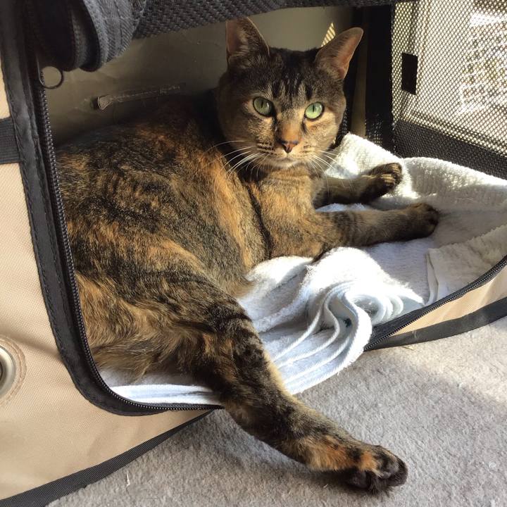 582bd5d4 5748 4c14 aaf3 03c91e0f79d1 1711786960736