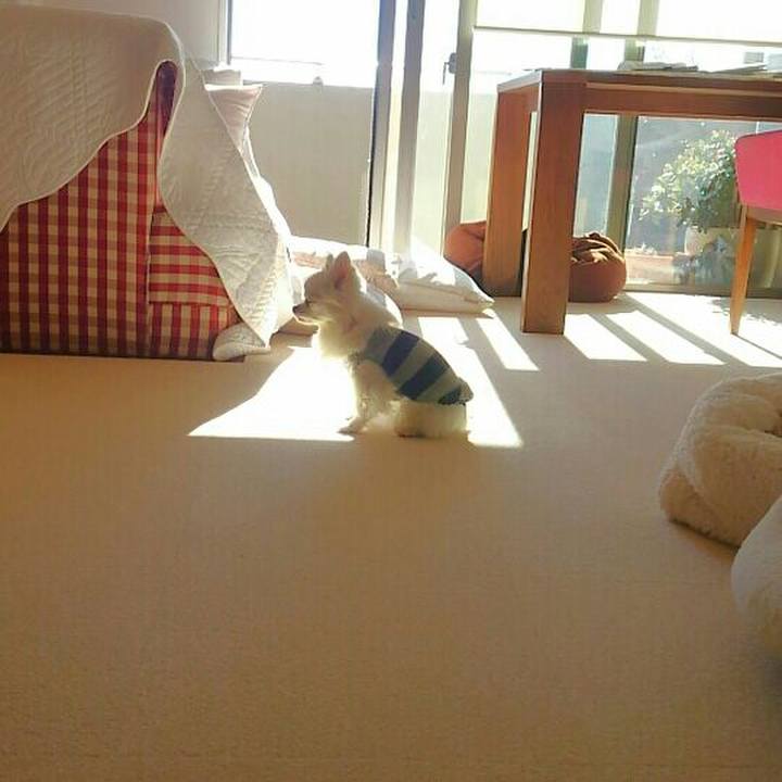 582bd8c8 1c13 4715 b970 827ceb6e8e15 1544237863637