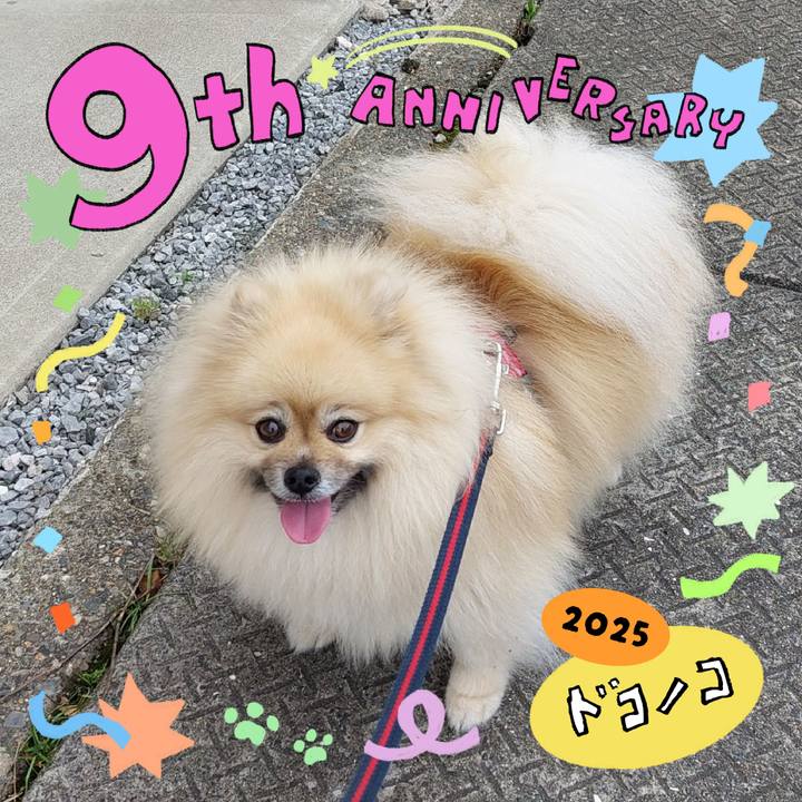 582bdd23 a90c 411a a908 ea5bb43d921e 1749131030139