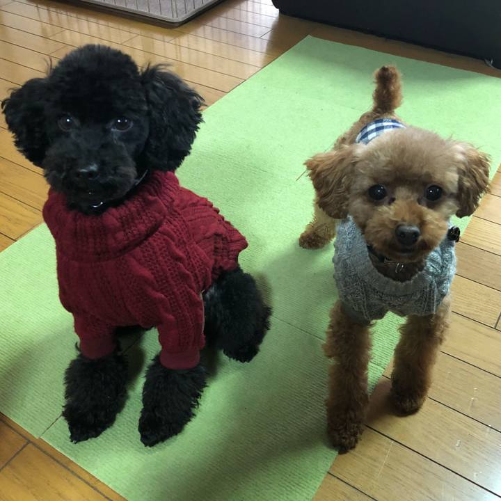 582be601 6409 40c6 ad1f 0d6e27d962e6 1546937155142