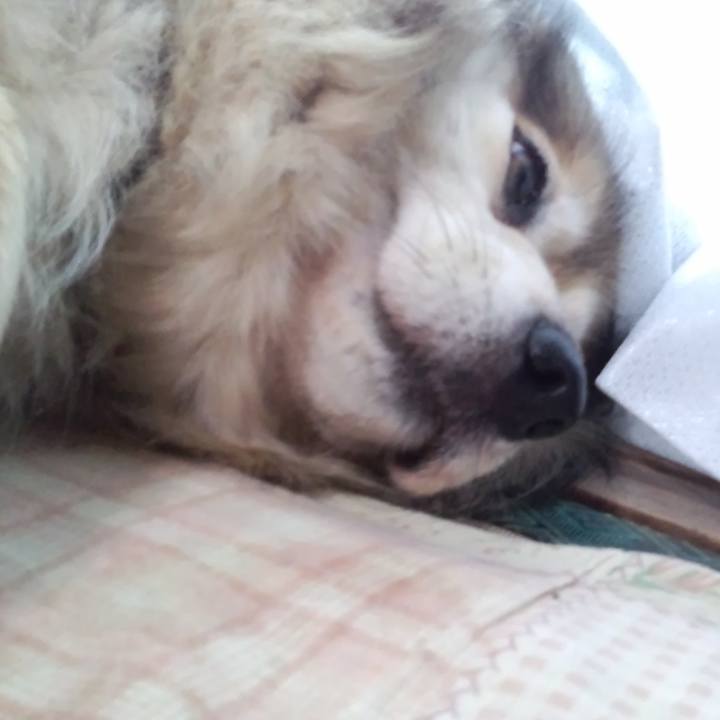 582c0147 2a66 4cfa ab5b 71dd372cac61 1624313914013