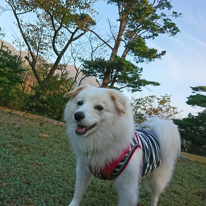 582c210c 305f 48a0 82de 158f496fad1e 1508969188117