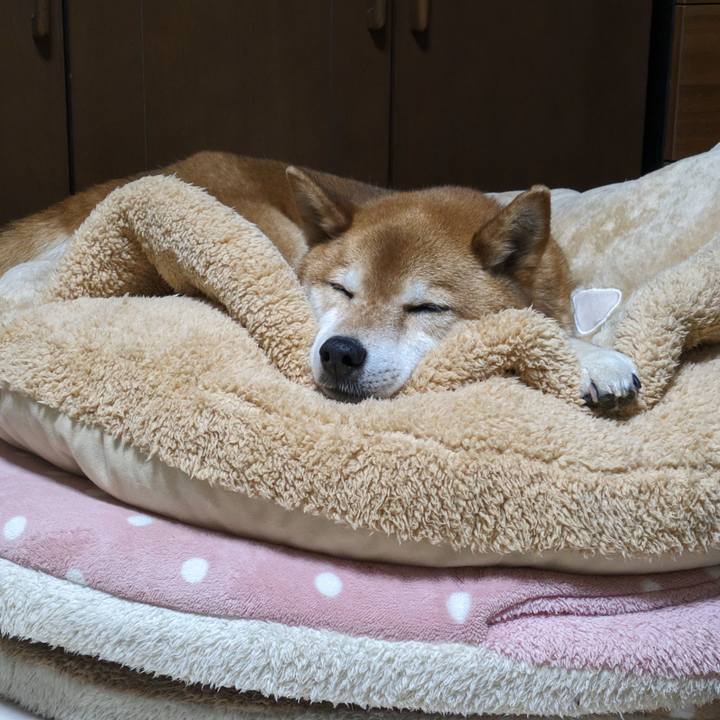 582c39e7 f33b 48dd b1d6 309e42bc8bea 1714480924084