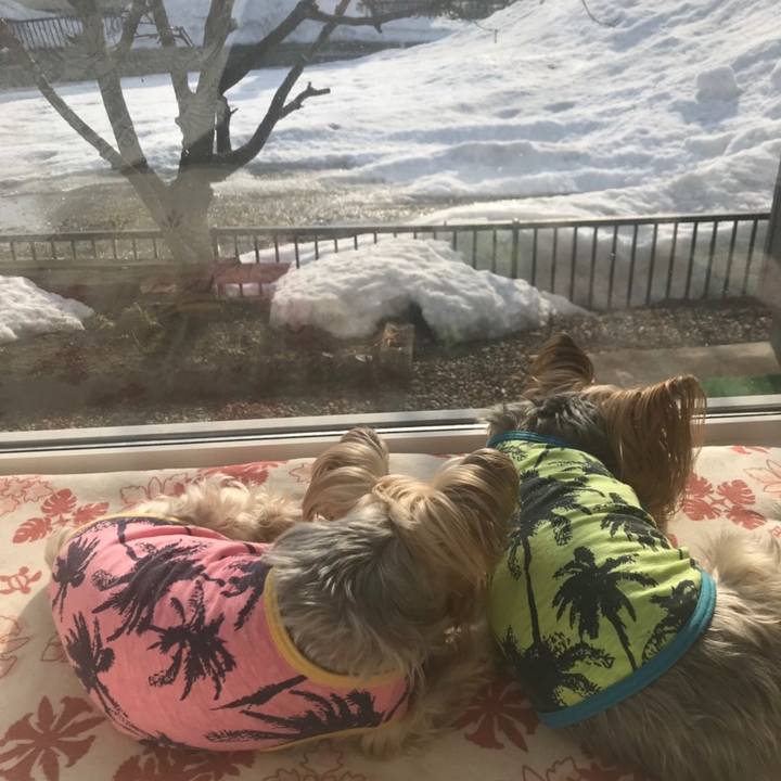 582c3d8b 69b3 4d16 945c e6e31a1a5e7c 1553587931418