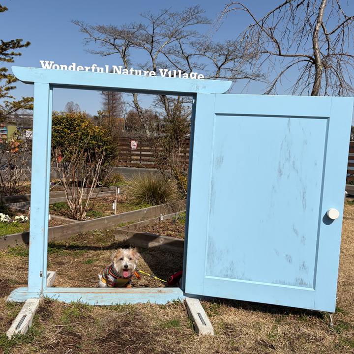 582c5cdd 5731 42b3 a30a 8492f4633935 1772360600344