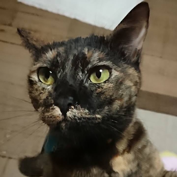 582c9364 8d52 4016 91ee 90881a8521b7 1534167956146