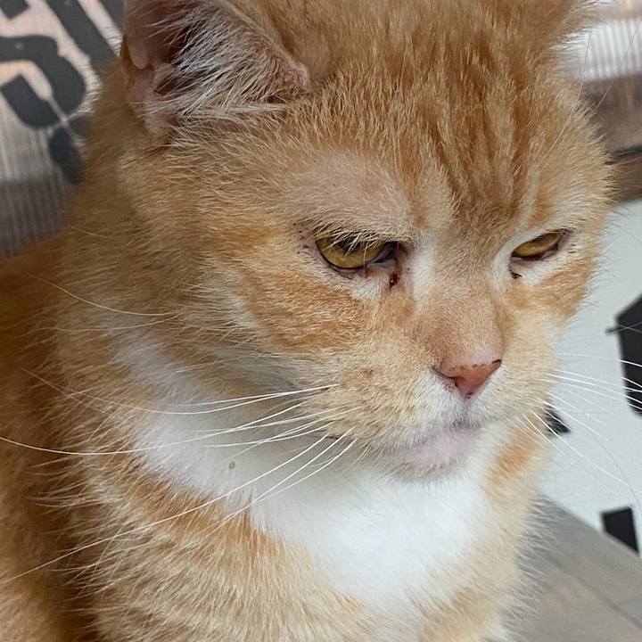 582cbeca af0d 4016 9d02 90bd6966685b 1585417950522