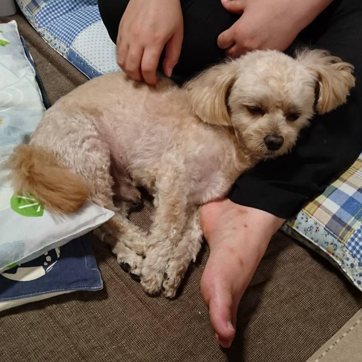 582cd568 9fb4 4043 beca 1246abfc38e2 1569591476620