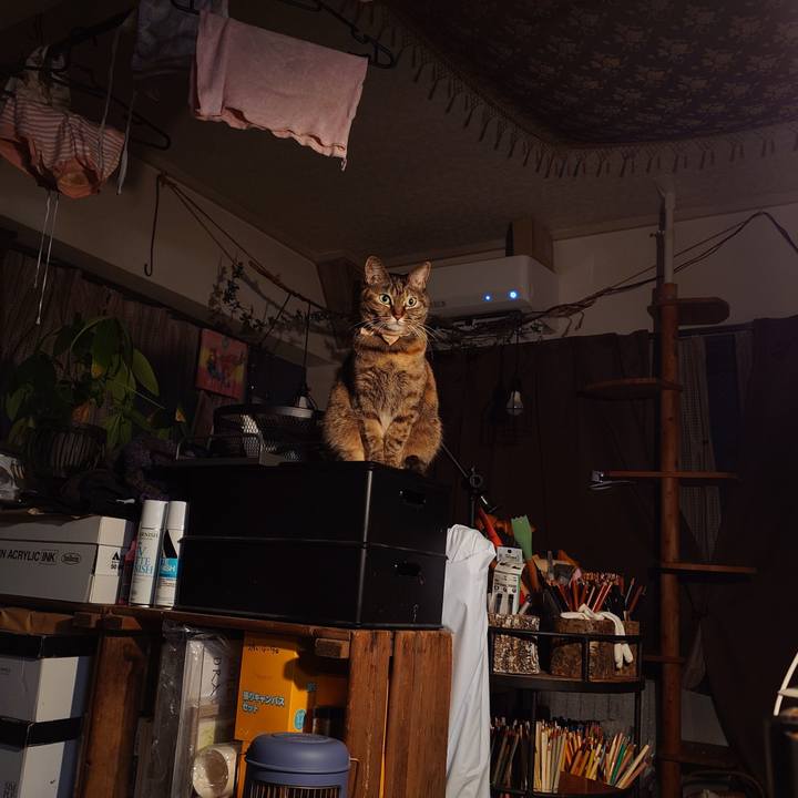 582cf664 0596 4bb6 a06a f36f4fcdab4f 1768824187504