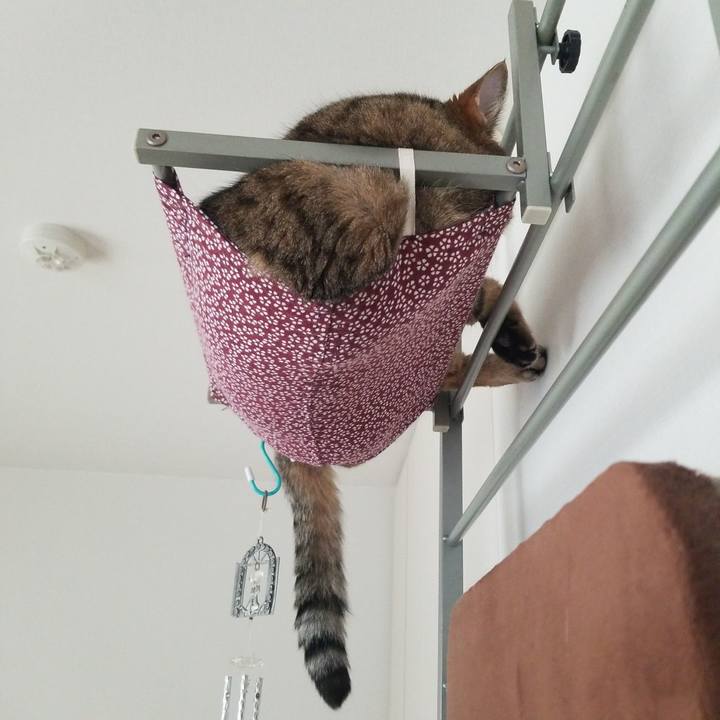 582d32df 5651 4e68 bc68 7a328a4c06d8 1562102445342