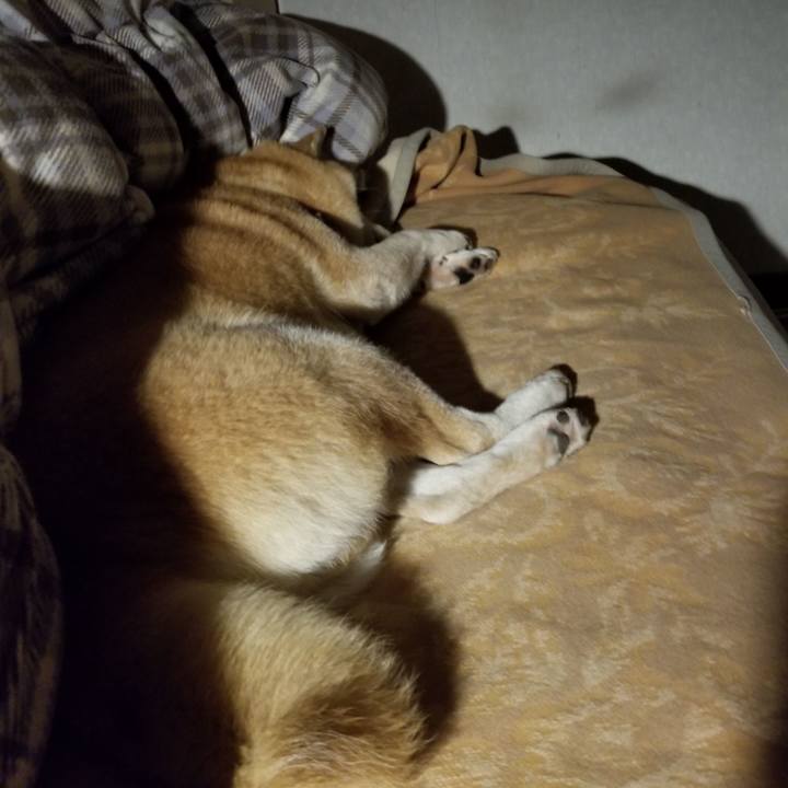 582d5506 5645 4950 a616 3bfc49fb9004 1638364475715