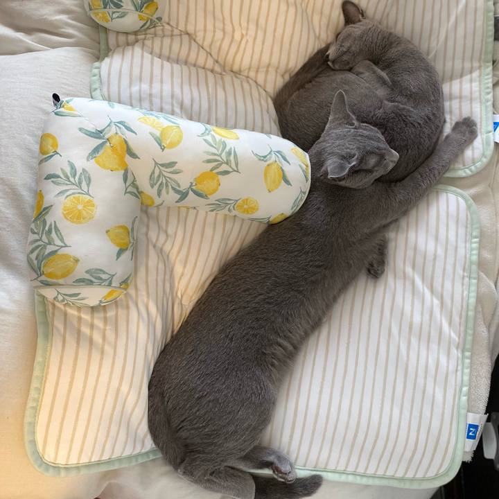 582d95df 30e2 4a41 afa5 fef17d235b41 1627451110316