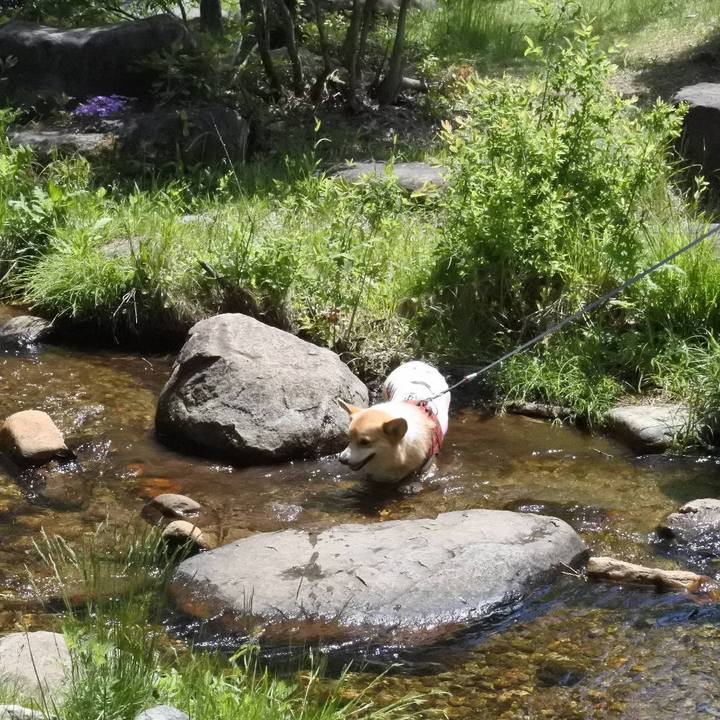 582da6d2 859c 4208 849e 040c278b4df3 1558972521891