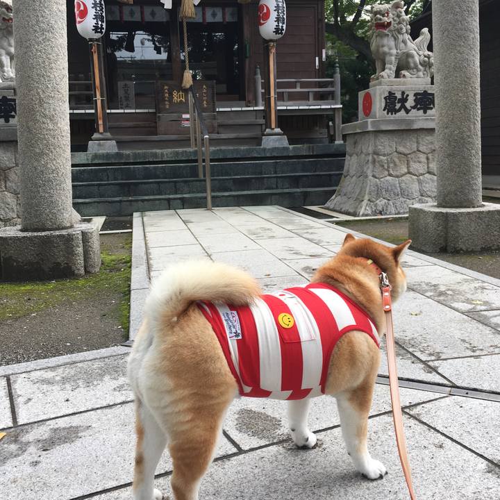 582da8e0 fd61 4c0c b4af 9a3dbf9ec1e1 1566951463174