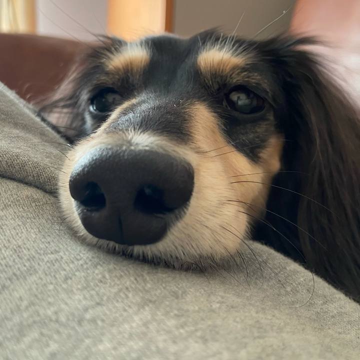 582dbbec cd01 411b be41 0f9d70f5751d 1764464722108