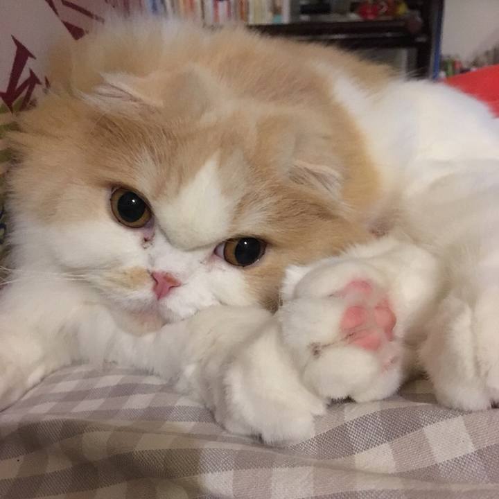 582df6f6 55ef 4810 bc3b a541b47f1da7 1544012046098