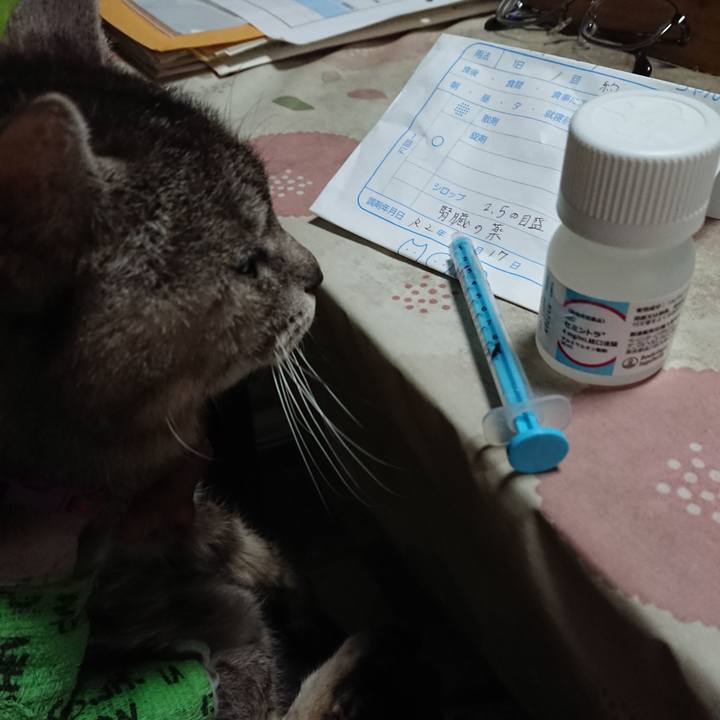 582e2a2a 3c20 4481 a1e5 666c191f9f56 1587161839520