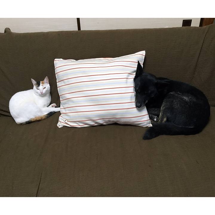 582e7e8d c1d1 4050 af80 a334ecdbad12 1586518600574